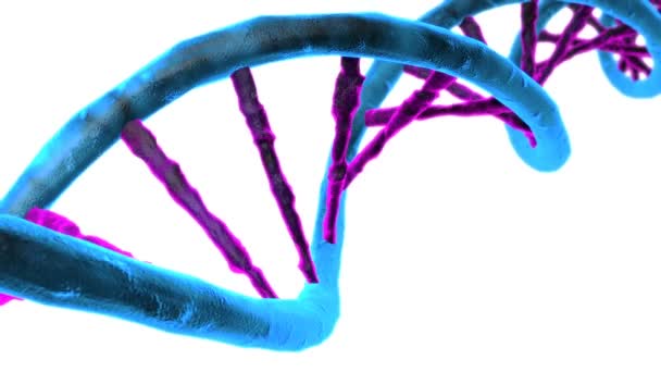 Анимированная цепочка ДНК. Вращающаяся ДНК — стоковое видео