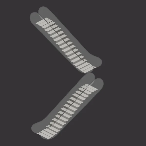 Mozgólépcső elszigetelt fehér background. A modern építészet lépcső, felvonó és lift — Stock Vector