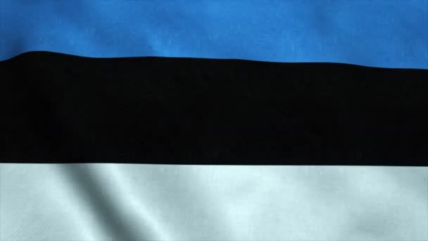 Bendera Ultra-HD yang realistis dari Estonia melambai-lambaikan angin. Pengulangan mulus dengan tekstur kain yang sangat rinci — Stok Video