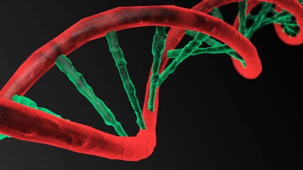 Анимированная цепочка ДНК. Вращающаяся ДНК — стоковое видео