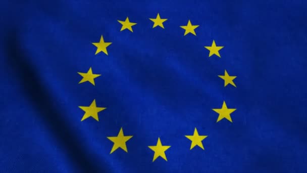 Vlag van de Europese Unie zwaaien On The Wind — Stockvideo