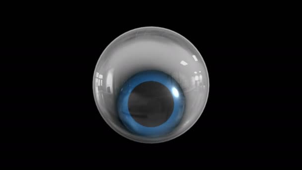 Realistic eye animation — Stock Video