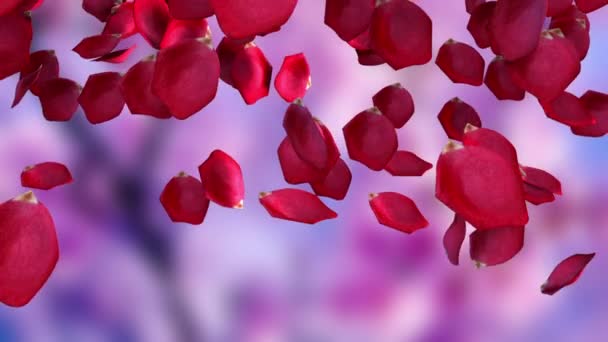 バラの花びらが上から下に下がり、コンピュータが生成されます。花弁の雨。3Dレンダリングのロマンチックな背景 — ストック動画