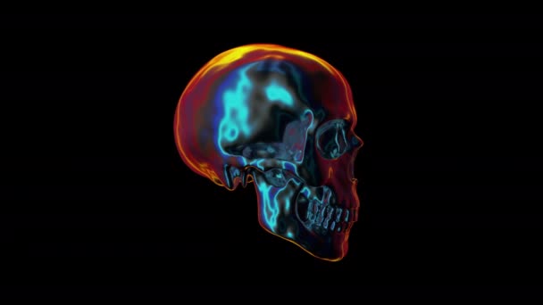 Yanardöner insan kafatası, bilgisayar üretimi. Soyut renkli arkaplanın 3d görüntülenmesi — Stok video