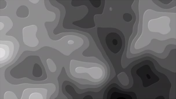 Topographic structural map — 비디오