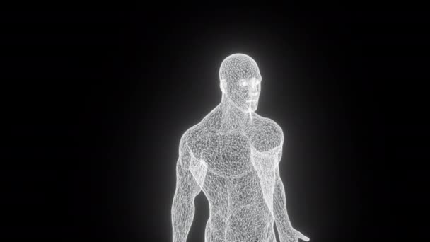 The Human Body Is Modeled of lines — Stock Video