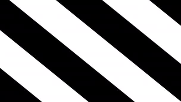 Czarno-białe paski — Wideo stockowe