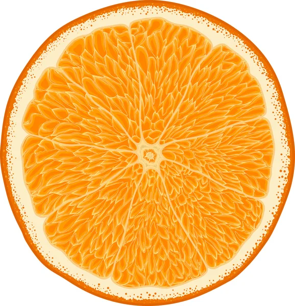 Gerçekçi vektör turuncu