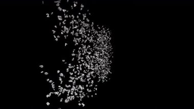 Alfa Kanallı Numaralardan Yapılmış. 3B Yazı Tipi Numara Animasyonu. Şeffaf Arkaplan