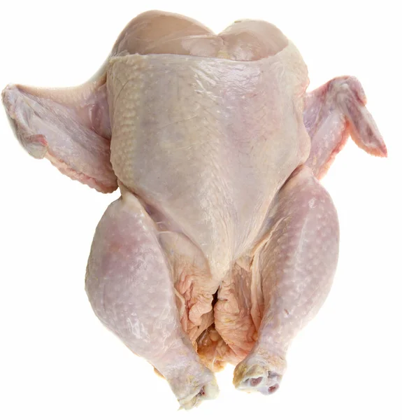 ham bütün beyaz arka plan üzerinde izole tavuk hazır