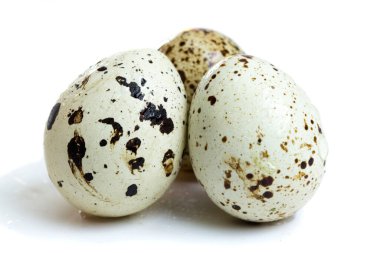 bıldırcın yumurtası, beyaz bir arka plan üzerinde izole grubu