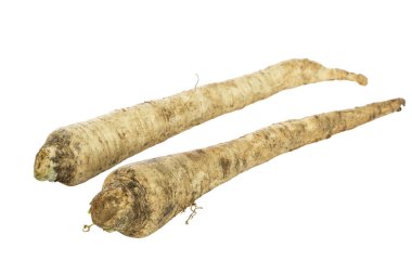 Beyaz arka plan üzerinde izole iki yaban havucu 