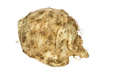 Kereviz kökü beyaz arkaplanda izole edildi 