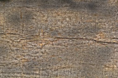 Ağaç kabuğunun doğal arkaplan olarak kullanımı