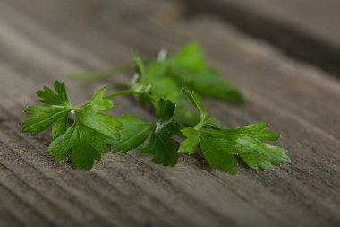 Eski ahşap masadaki maydanozu kapat.
