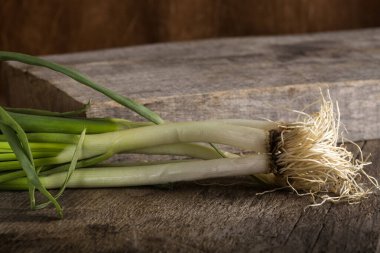 Demet taze soğan ahşap üzerine