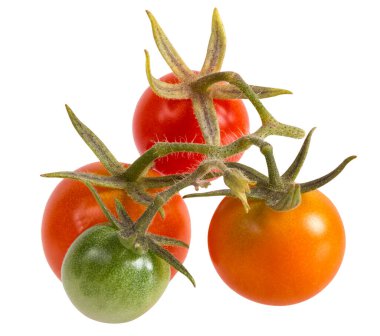 Kırmızı, sarı ve yeşil organik beyaz arka plan üzerinde izole domates. Kırpma yolu eklenir