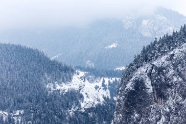 dağ manzara orman, Romen Karpatlar kış