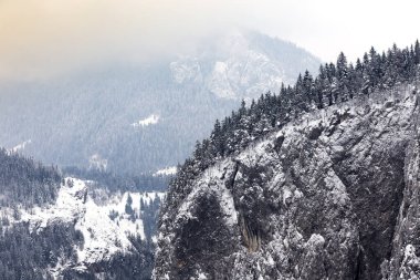 dağ manzara orman, Romen Karpatlar kış