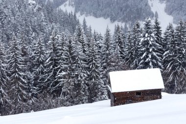 Kışın Romanya dağlarındaki ahşap ahır çok karlı.