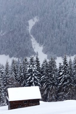 Kış mevsiminde Romanya dağlarındaki ahşap ahır çok karlı.