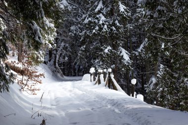Romanya Karpatlar 'ın dağlarında kış mevsiminde karlı yol
