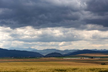 Neamt - Romanya 'da yaz mevsiminde bulutlu bir gökyüzü manzarası