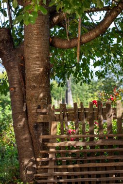 Çit, bir ağaç ve kır tarafında çiçekler - Romanya