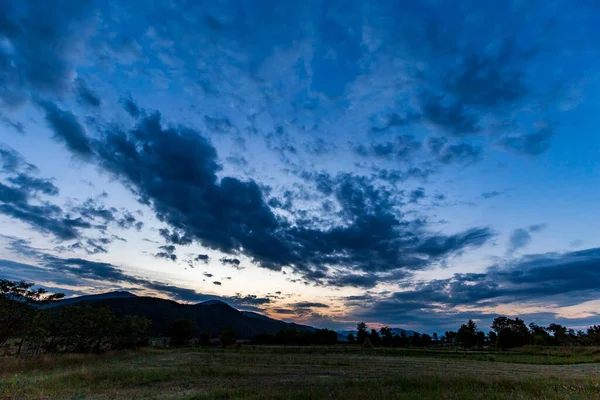 Arka planda köknar ormanı olan dağlardaki güzel Romanya manzarası - çok geniş bir manzara