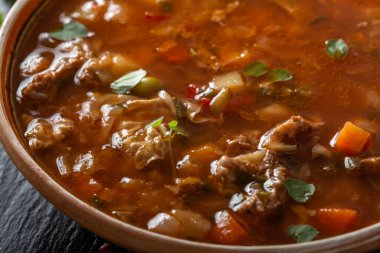 Doğu Avrupa geleneksel ekşi çorba ya da et ve sebzelerle yapılan borç - yakın görüş