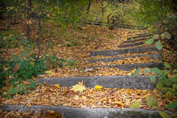 Sarı foilage sonbaharı Cadılar Bayramı sezonu Romanya 'daki halk parkında merdiven boşluğu açıyor