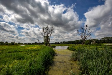 Gent-Belçika yakınlarındaki doğal bir parkta büyük bir bataklık.