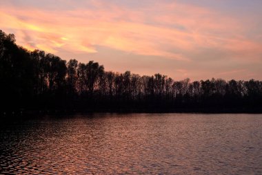 Günbatımında Gent 'te bir gölün yanındaki ağaçlar - Belçika