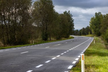 Belçika - Ardennes 'de bulutlu bir gökyüzü altında yemyeşil bir yol.