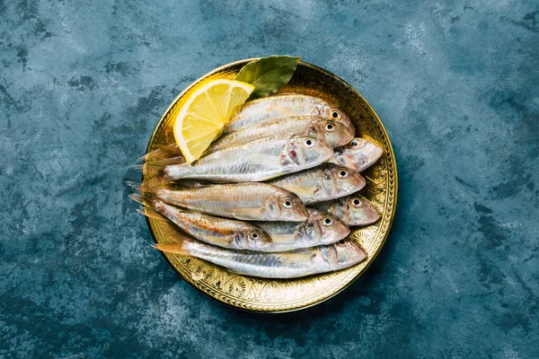 Salmonete rojo fresco. Pez sultán sobre fondo azul. — Foto de Stock