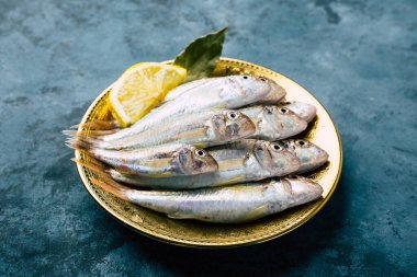 Taze kırmızı aslan yelesi. Mavi arka planda sultan balığı.