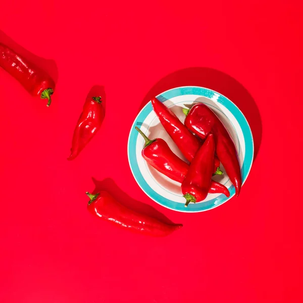 Vegetable Minimal still life. Red pepper on a plate — Stock Photo, Image
