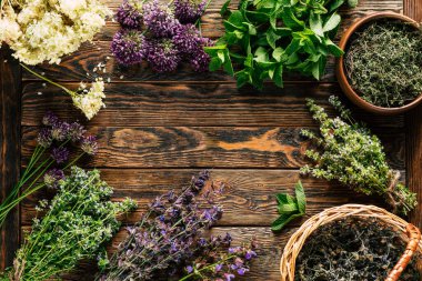 Bitkisel yapı. Şifalı bitkiler hasat ediyorum. Alternatif tıp. Homeopati. Yüksek kalite fotoğraf