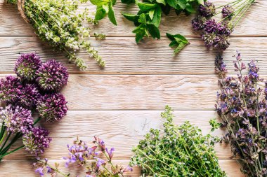 Bitkisel yapı. Şifalı bitkiler hasat ediyorum. Alternatif tıp. Homeopati. Yüksek kalite fotoğraf