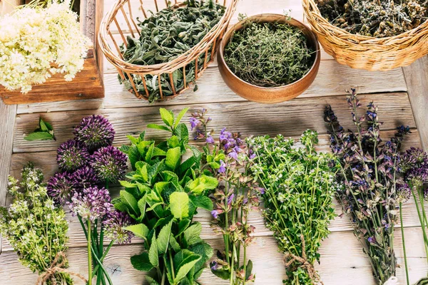 Skörd Medicinalväxter Helande Kryddiga Örter Vit Träbakgrund Alternativ Medicin Ayurveda — Stockfoto