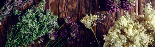 Raccolta Erbe Medicinali Medicina Alternativa Foto Alta Qualità — Foto Stock