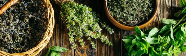 Harvesting Medicinal Herbs Alternative Medicine High Quality Photo — Stock Photo, Image