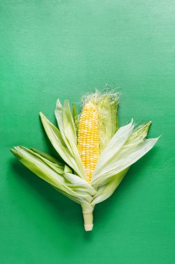 Koçanda yeşil yapraklı taze mısır.