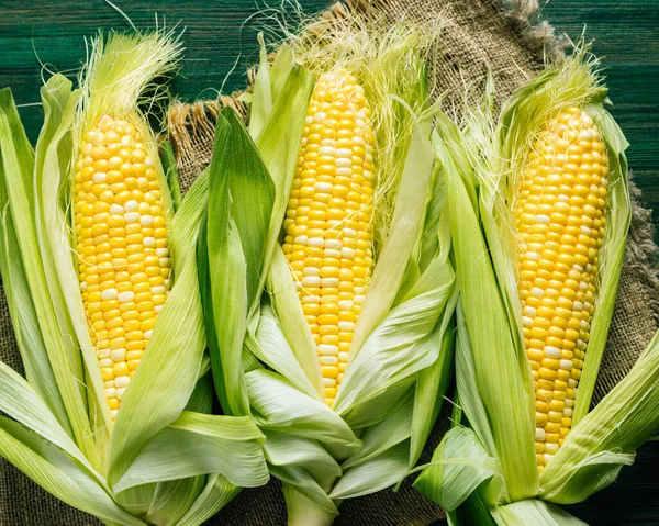 Fresh corn on the cob with green leaves — Stock Photo, Image