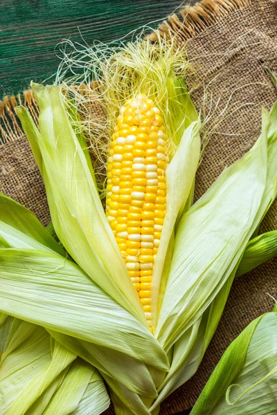 Fresh corn on the cob with green leaves — Stock Photo, Image