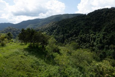 Yaz mevsiminde yeşil dağların güzel manzarası