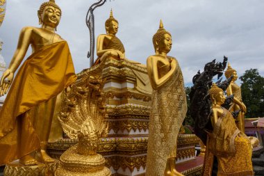 Tapınaktaki altın Buda heykelleri