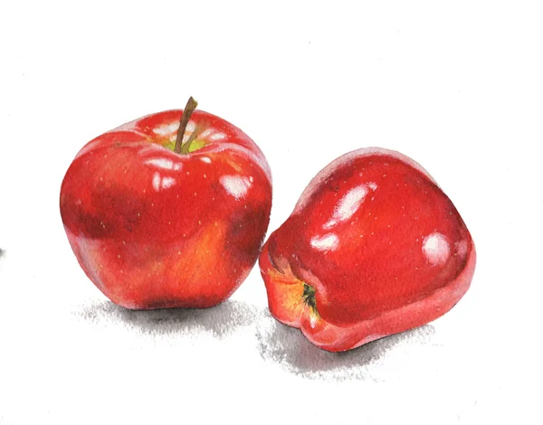 Watercolor painting illustration isolated apples object design element — Stock Photo, Image