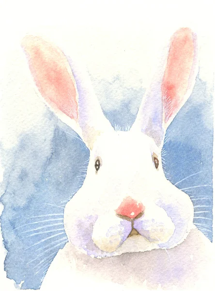 Watercolor painting illustration puzzled bunny  rabbit — Stock Photo, Image