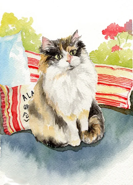 Ζωγραφική με νερομπογιές εικονογράφηση γάτα γατούλα γατάκι — Φωτογραφία Αρχείου